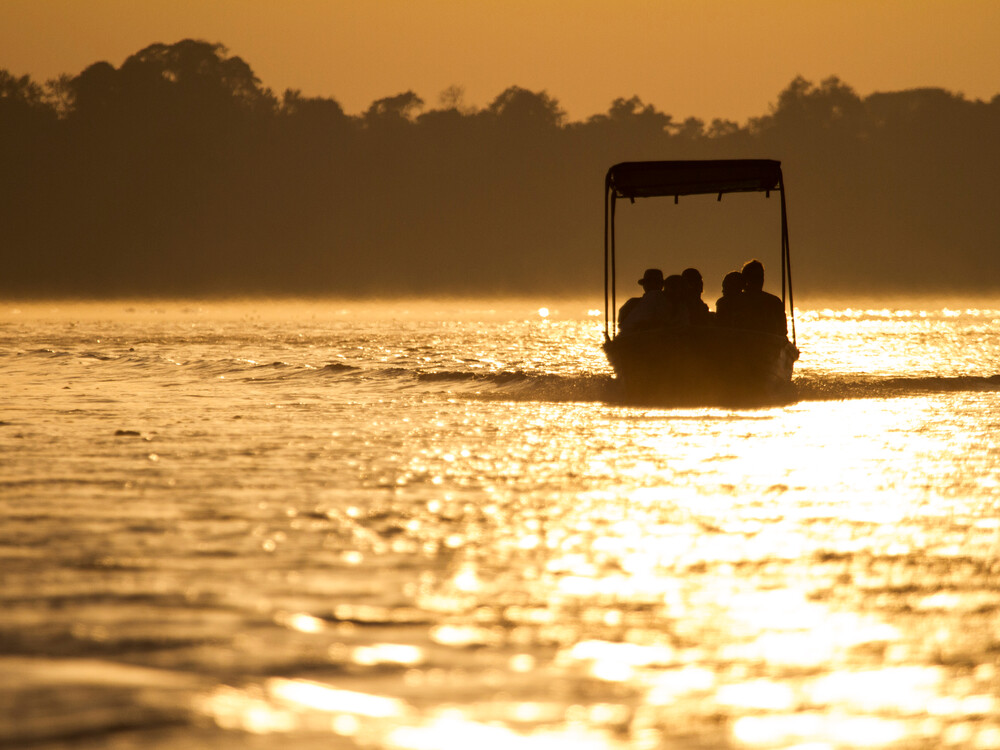 Boat,Safari,On,The,Rufiji,River,,Selous,Game,Reserve.
