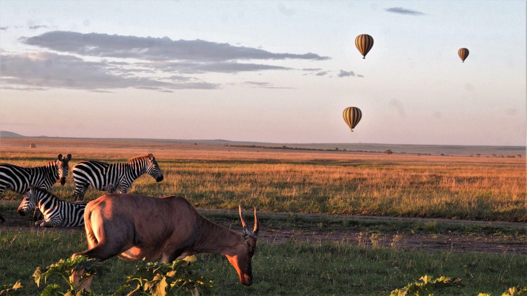 Hot-air-Balloon-ride-in-Masai-Mara-1-1-scaled-1-1024×576-1