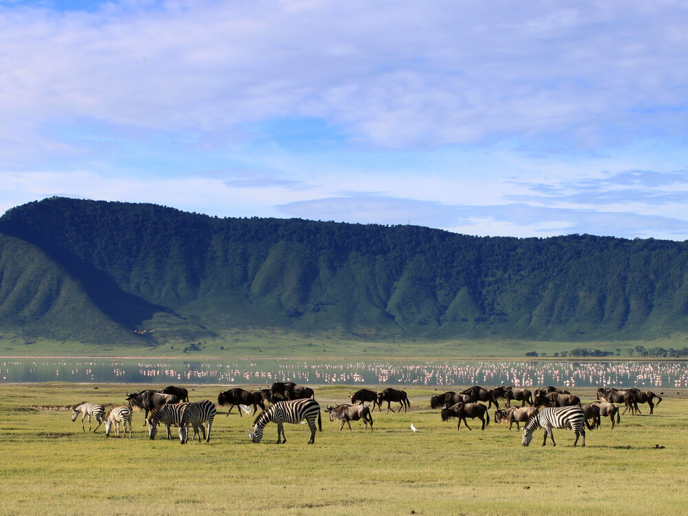 Wildebeests,In,The,Ngorongoro,Crater,,Tanzania,,Dramatic,Sky,In,The